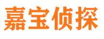 洛隆寻人公司